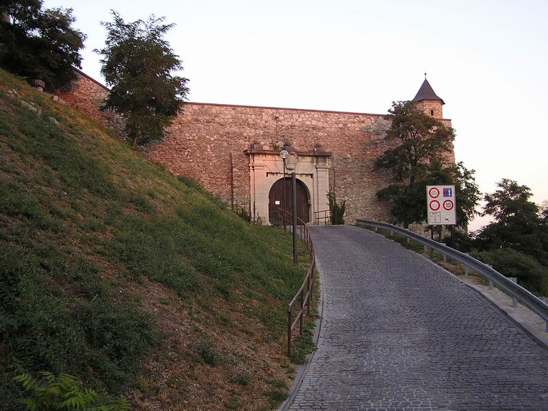 Leopoldova brána s príjazdovou cestou.