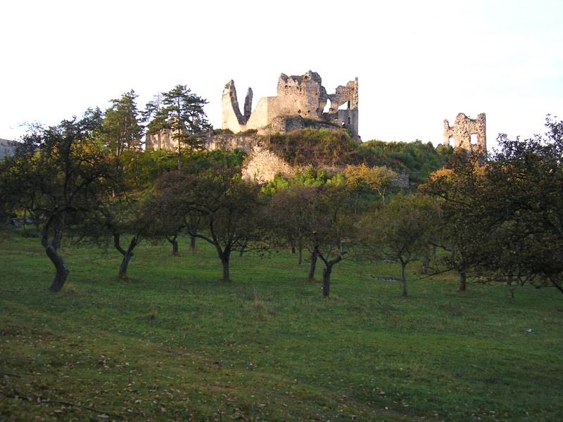 View to the castle from SW from old gardens.