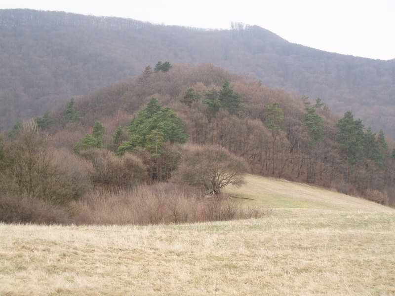Pohľad na hradný kopec z protiľahlého kopca 